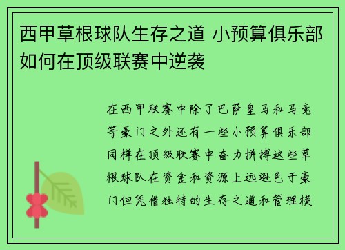 西甲草根球队生存之道 小预算俱乐部如何在顶级联赛中逆袭