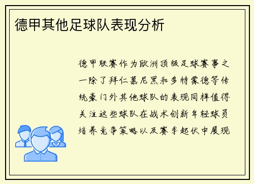 德甲其他足球队表现分析